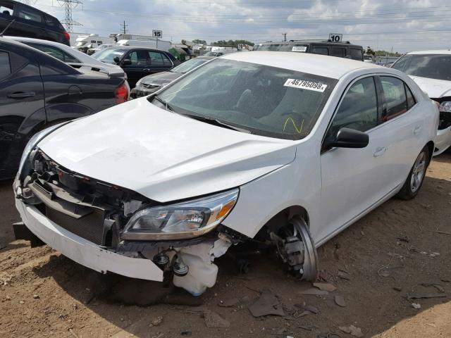 1G11B5SA9DF249653 - 2013 CHEVROLET MALIBU LS Ağ foto 2