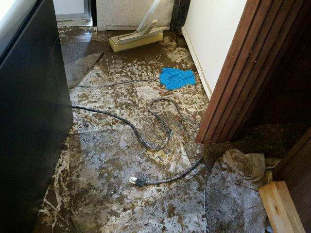 5SFPB3620HE324144 - 2016 PROW TRAILER 双色 照片 9