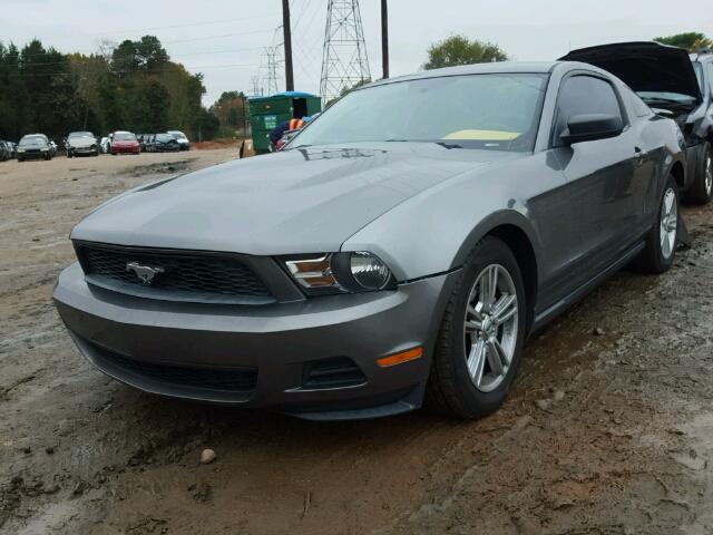 1ZVBP8AN1A5137690 - 2010 FORD MUSTANG GRAY photo 2