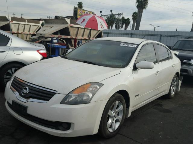 1N4CL21E19C120384 - 2009 NISSAN ALTIMA HYB WHITE photo 2