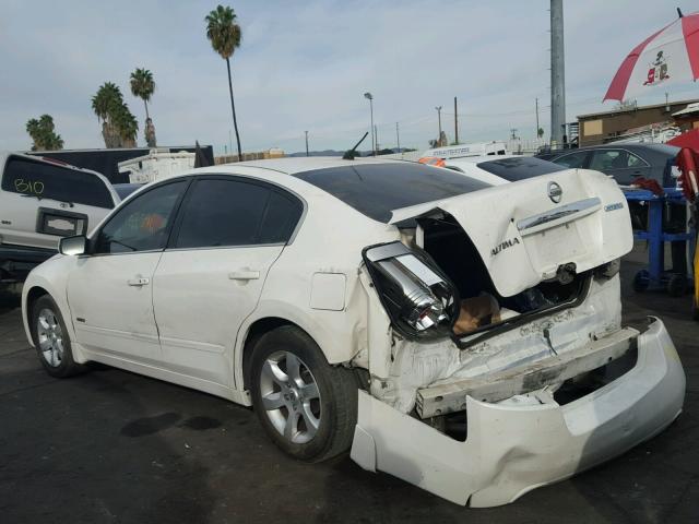 1N4CL21E19C120384 - 2009 NISSAN ALTIMA HYB WHITE photo 3