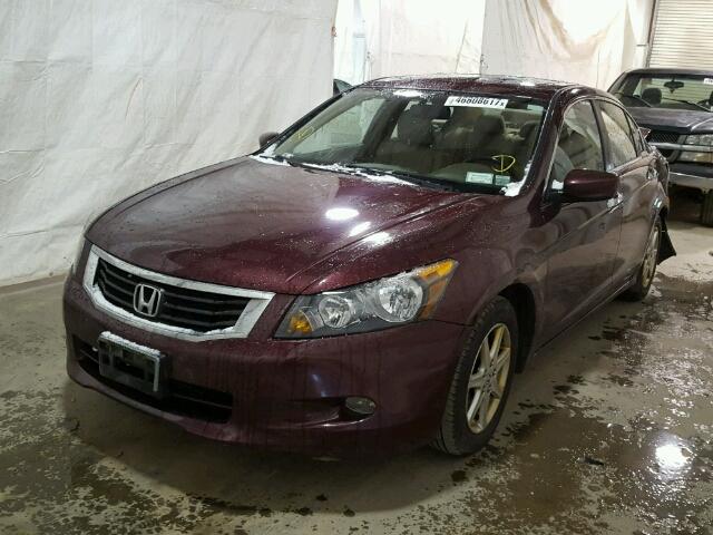1HGCP36898A055612 - 2008 HONDA ACCORD EXL Tünd qırmızı foto 2