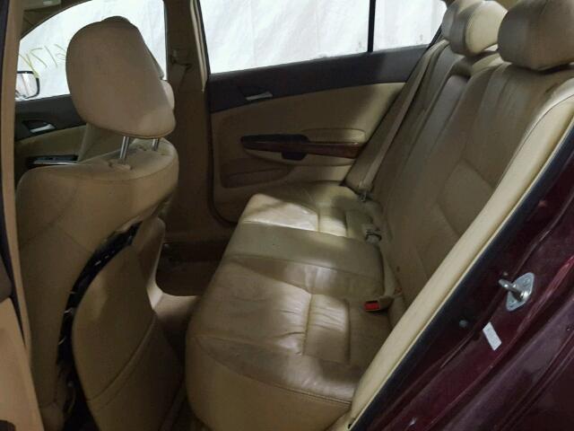 1HGCP36898A055612 - 2008 HONDA ACCORD EXL Tünd qırmızı foto 6