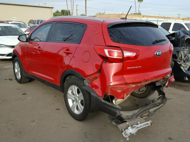 KNDPB3A25D7516216 - 2013 KIA SPORTAGE B RED photo 3