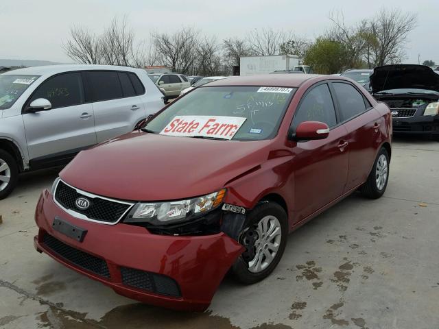 KNAFU4A29A5850426 - 2010 KIA FORTE EX RED photo 2