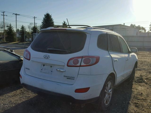 5XYZKDAGXBG007944 - 2011 HYUNDAI SANTA FE L WHITE photo 4