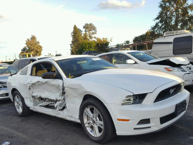 1ZVBP8AM9E5317030 - 2014 FORD MUSTANG WHITE photo 1