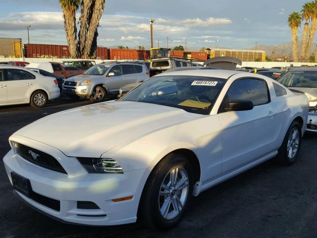 1ZVBP8AM9E5317030 - 2014 FORD MUSTANG WHITE photo 2