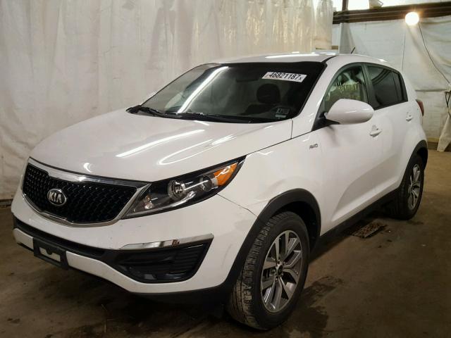 KNDPBCAC2F7782143 - 2015 KIA SPORTAGE L WHITE photo 2