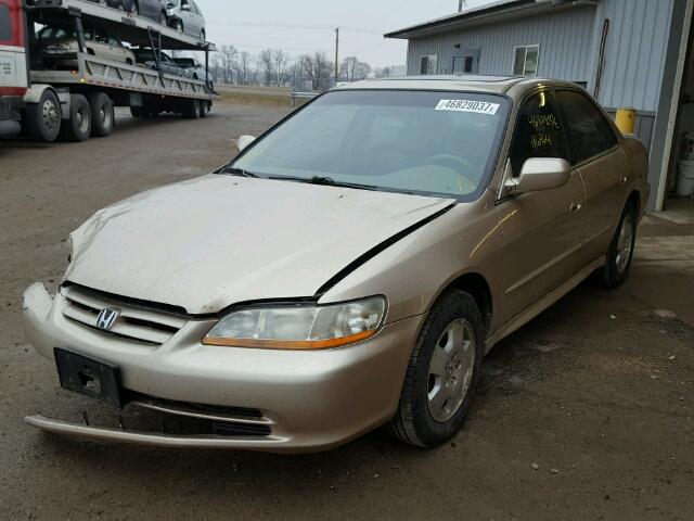 1HGCG16581A066035 - 2001 HONDA ACCORD EX GOLD photo 2