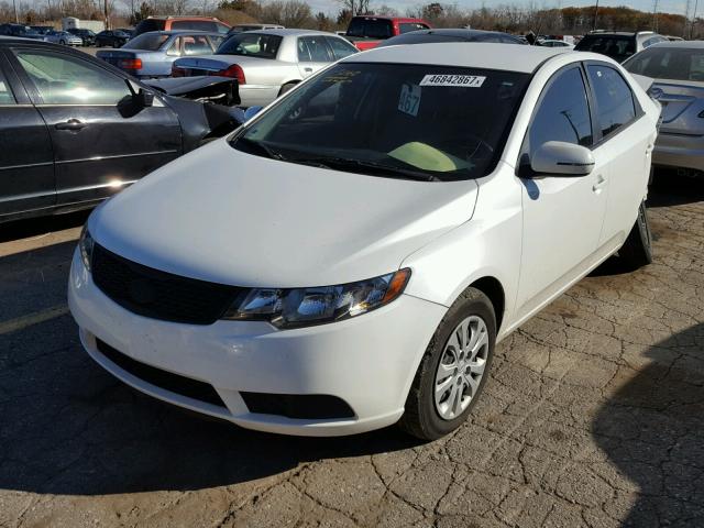 KNAFU4A25D5735603 - 2013 KIA FORTE EX WHITE photo 2