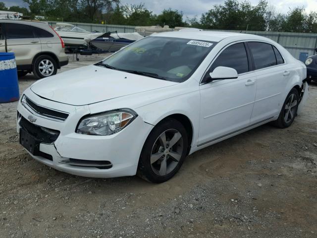 1G1ZC5E15BF298423 - 2011 CHEVROLET MALIBU 1LT WHITE photo 2
