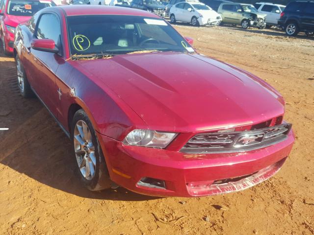 1ZVBP8AM5B5164285 - 2011 FORD MUSTANG RED photo 1