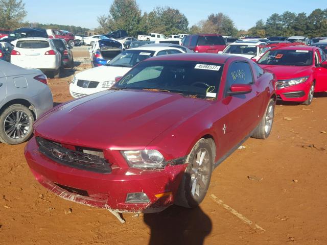 1ZVBP8AM5B5164285 - 2011 FORD MUSTANG RED photo 2