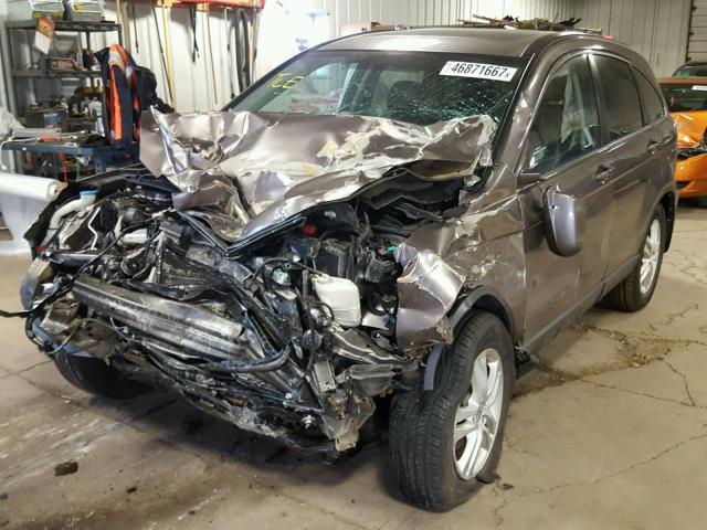 5J6RE4H75BL067352 - 2011 HONDA CR-V EXL BROWN photo 2