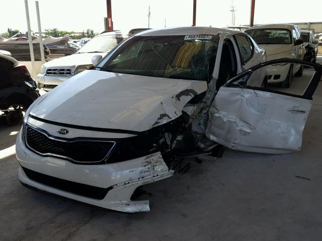 KNAGM4A71F5601271 - 2015 KIA OPTIMA LX WHITE photo 2