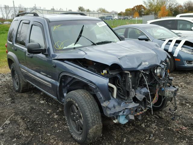 1J4GL48K62W357776 - 2002 JEEP LIBERTY SP BLUE photo 1