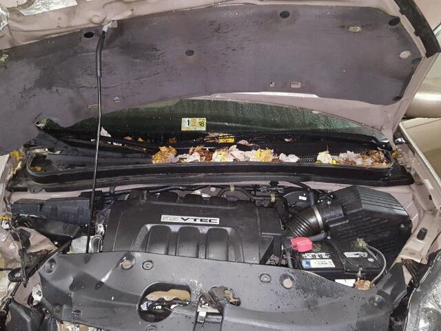 5FNRL38407B008781 - 2007 HONDA ODYSSEY EX TAN photo 7