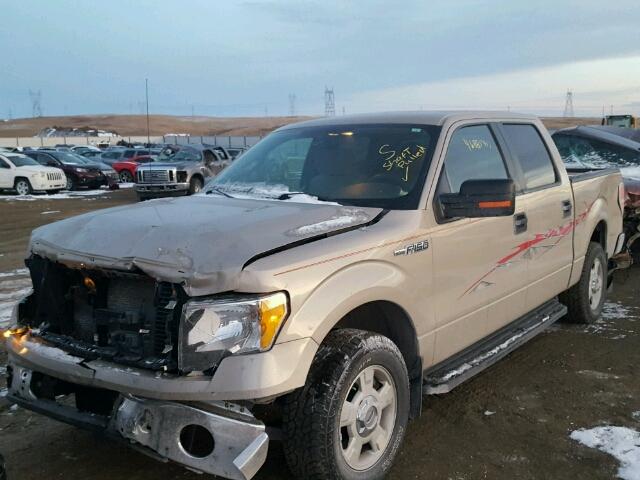 1FTEW1C85AKE49773 - 2010 FORD F150 SUPER TAN photo 2