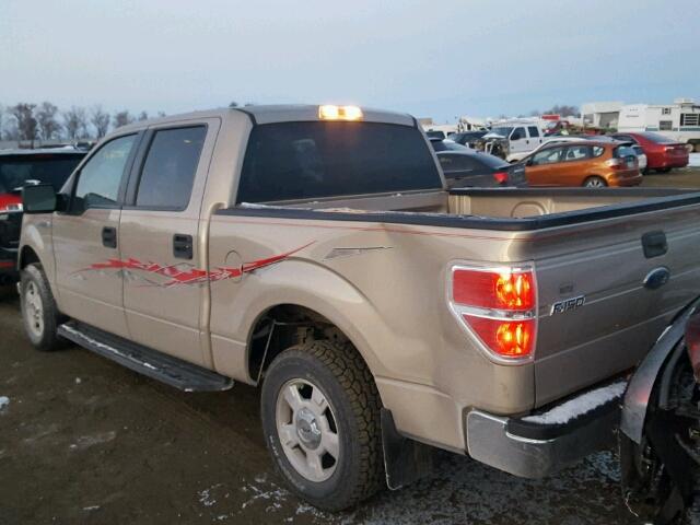 1FTEW1C85AKE49773 - 2010 FORD F150 SUPER TAN photo 3