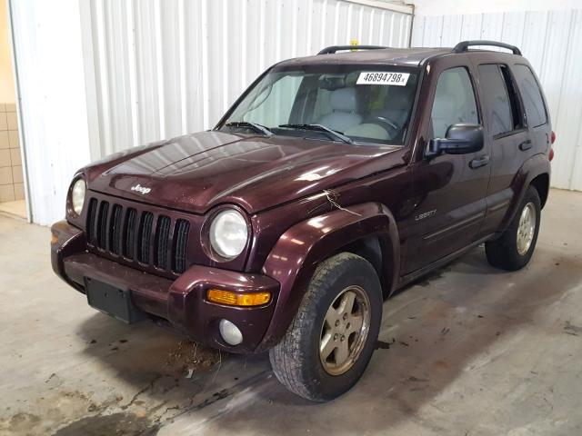 1J4GK58K14W224161 - 2004 JEEP LIBERTY LI PURPLE photo 2