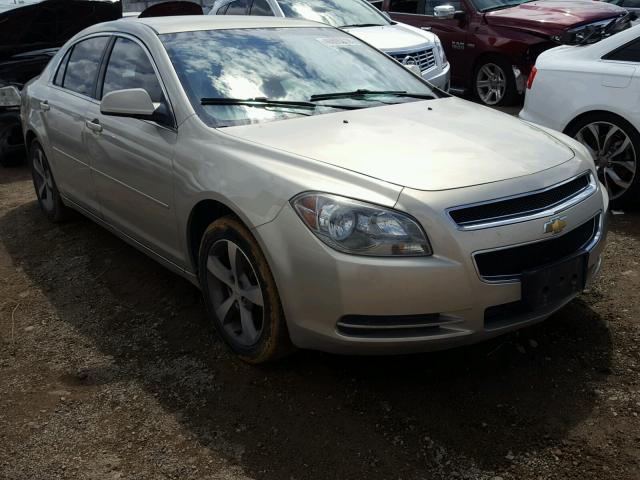 1G1ZC5E13BF224966 - 2011 CHEVROLET MALIBU 1LT GOLD photo 1
