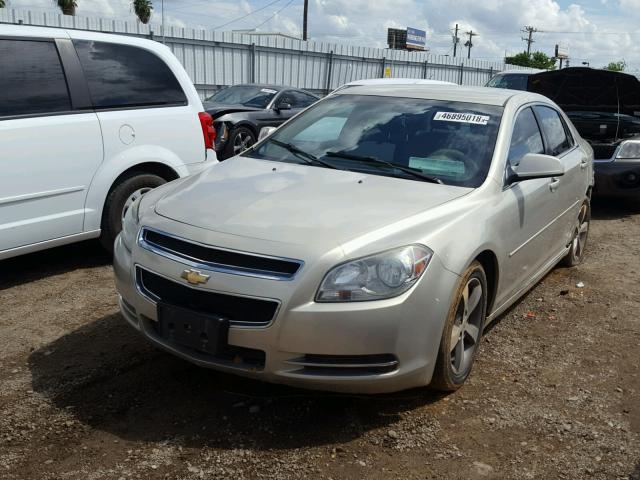 1G1ZC5E13BF224966 - 2011 CHEVROLET MALIBU 1LT GOLD photo 2