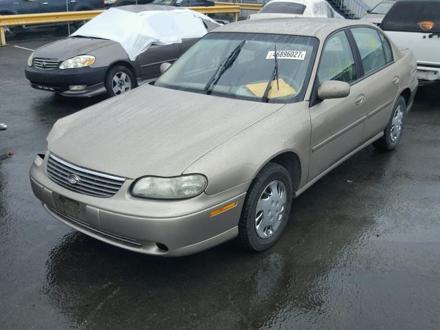 1G1ND52T6W6182218 - 1998 CHEVROLET MALIBU BEIGE photo 2