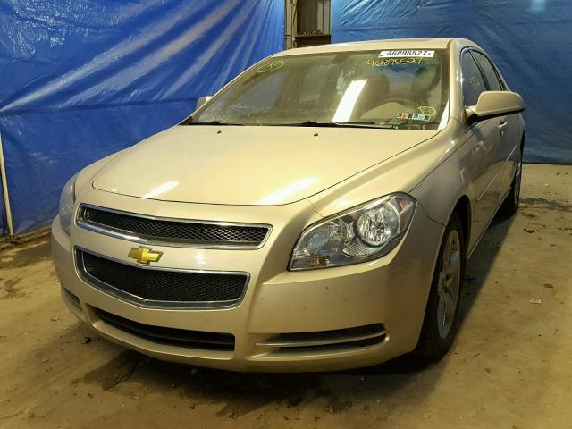 1G1ZC5EB8AF316694 - 2010 CHEVROLET MALIBU 1LT GOLD photo 2