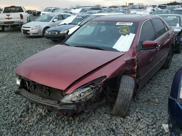 JHMCM56603C002679 - 2003 HONDA ACCORD EX RED photo 2