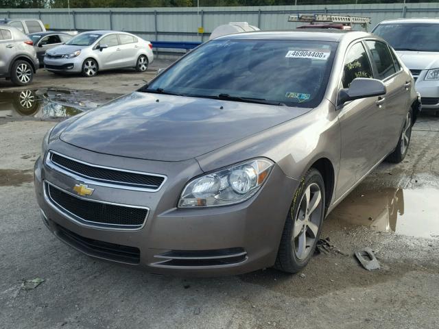 1G1ZC5E1XBF236600 - 2011 CHEVROLET MALIBU 1LT BROWN photo 2