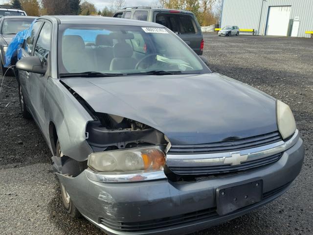 1G1ZT52855F126883 - 2005 CHEVROLET MALIBU LS GRAY photo 1