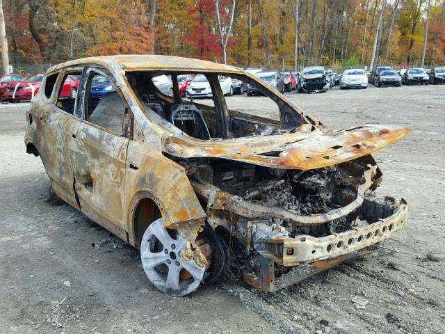 1FMCU9GX2DUA85068 - 2013 FORD ESCAPE SE BURN photo 1