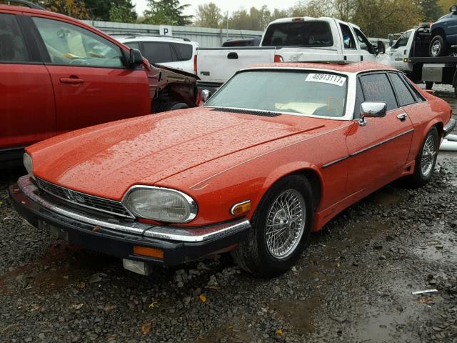 SAJNV5847FC120642 - 1985 JAGUAR XJS RED photo 2