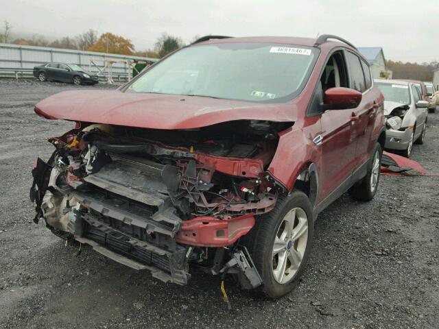 1FMCU0GX7EUE21682 - 2014 FORD ESCAPE SE ORANGE photo 2