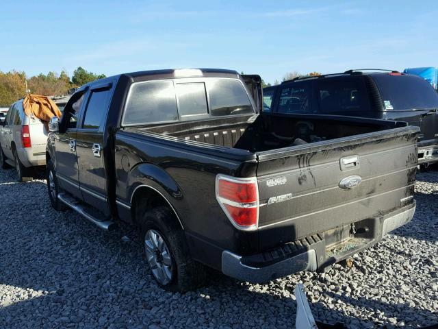 1FTFW1CF7DKF40406 - 2013 FORD F150 SUPER BROWN photo 3