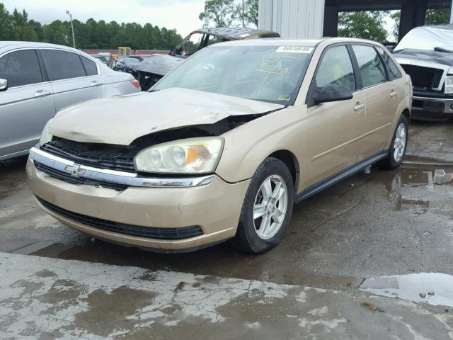 1G1ZT64834F155560 - 2004 CHEVROLET MALIBU MAX TAN photo 2