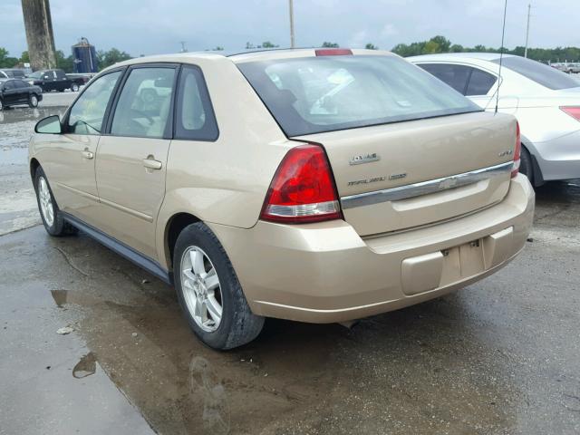 1G1ZT64834F155560 - 2004 CHEVROLET MALIBU MAX TAN photo 3