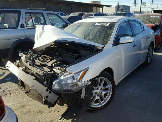 1N4AA5AP4DC837807 - 2013 NISSAN MAXIMA S Biały zdjęcie 2