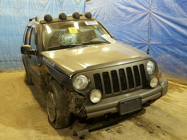 1J8GL38K66W269180 - 2006 JEEP LIBERTY RE GRAY photo 1