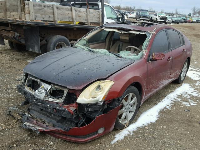 1N4BA41E65C861783 - 2005 NISSAN MAXIMA SE MAROON photo 2