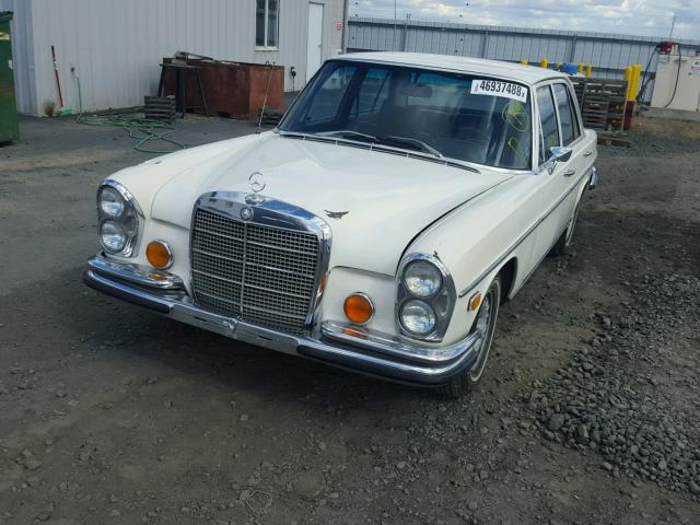 10806712000080 - 1972 MERCEDES-BENZ 280 WHITE photo 2