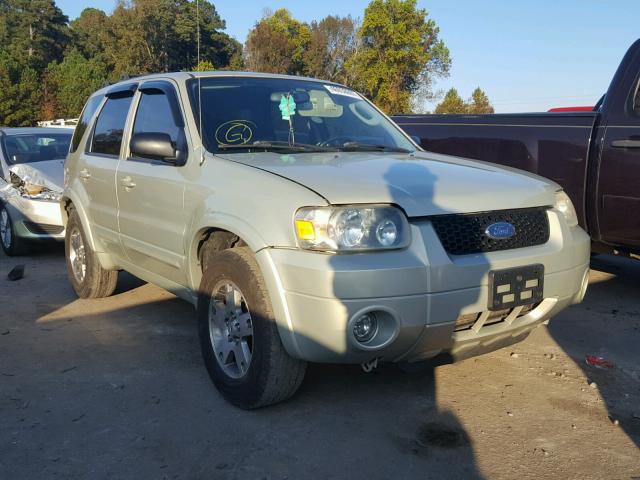 1FMYU04195KA25710 - 2005 FORD ESCAPE LIM GOLD photo 1