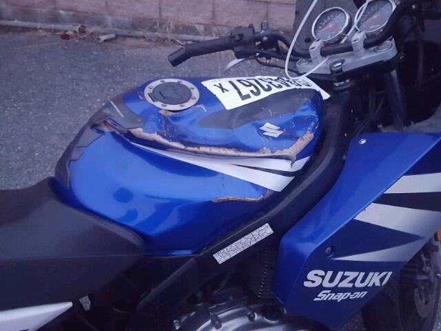 VTTGM51A742102474 - 2004 SUZUKI GS500 FK BLUE photo 9