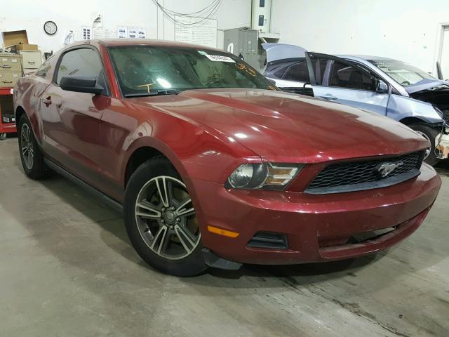 1ZVBP8AM8B5125335 - 2011 FORD MUSTANG RED photo 1