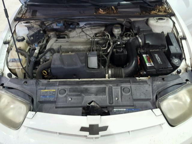 1G1JC52F247332229 - 2004 CHEVROLET CAVALIER WHITE photo 7