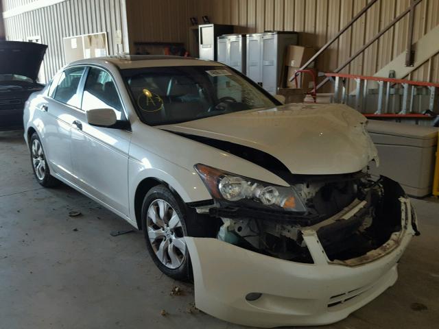 5KBCP3F89AB005564 - 2010 HONDA ACCORD EXL WHITE photo 1