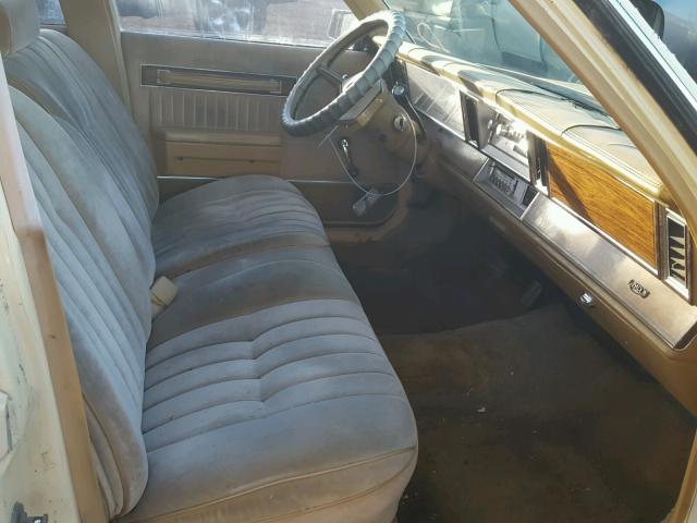 1C3BC46B3CC260383 - 1982 CHRYSLER LEBARON 黄色 照片 5