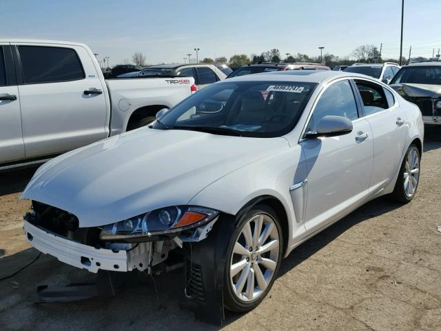 SAJWA0FB8CLS37680 - 2012 JAGUAR XF WHITE photo 2