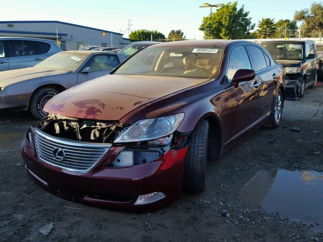 JTHBL46F795089163 - 2009 LEXUS LS 460 BURGUNDY photo 2